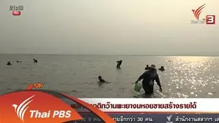 นักข่าวพลเมือง : พลิกวิกฤติกว๊านพะเยางมหอยขายสร้างรายได้