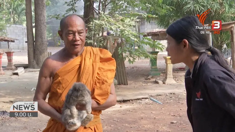 ชีวิตติดดิน : บ้านกระต่าย ศาลพระภูมิเก่า วัดทุ่งน้อย ราชบุรี