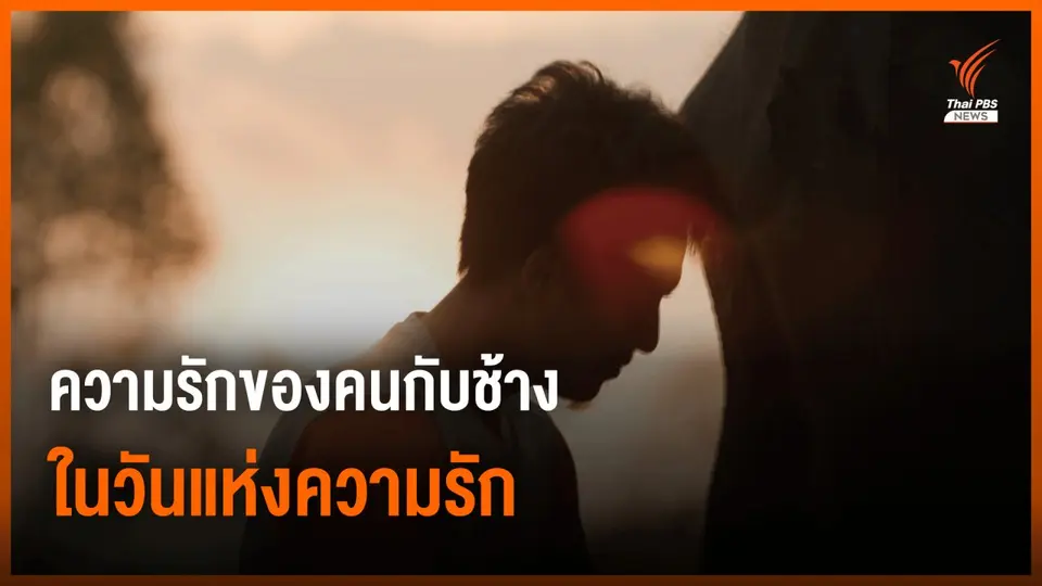 ความรักของคนกับช้าง ในวันแห่งความรักที่ "บ้านเพราะช้าง"