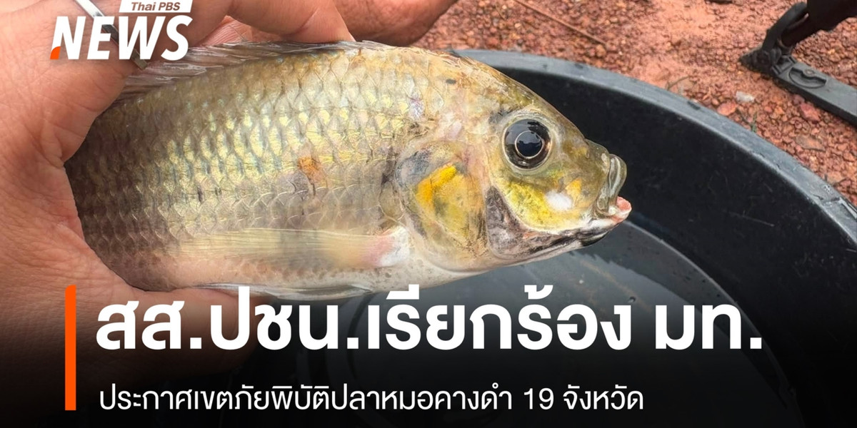 สส.ปชน.เรียกร้อง มท.ประกาศเขตภัยพิบัติปลาหมอคางดำ 19 จังหวัด