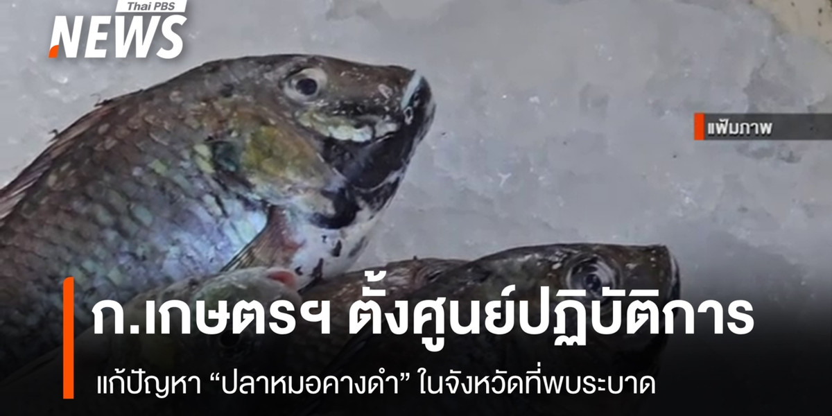 ก.เกษตรฯ ตั้งศูนย์แก้ปัญหา “ปลาหมอคางดำ” ในจังหวัดพบระบาด