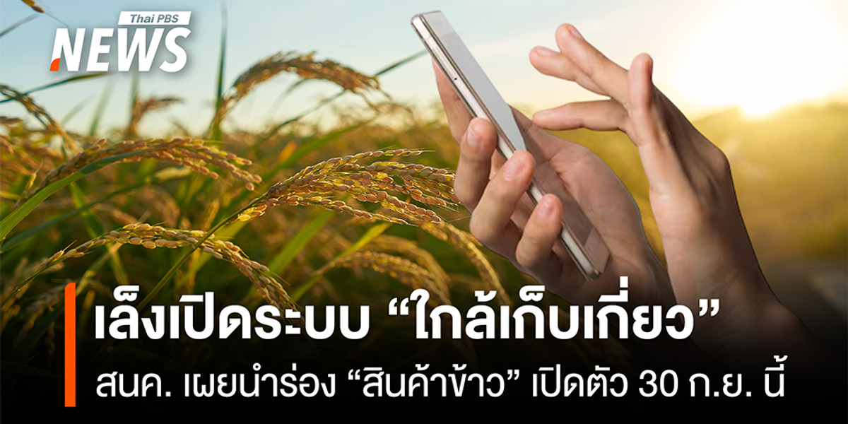 สนค.ใช้ AI ผุด “ระบบใกล้เก็บเกี่ยว” นำร่อง “สินค้าข้าว” เปิดตัว 30 ก.ย.