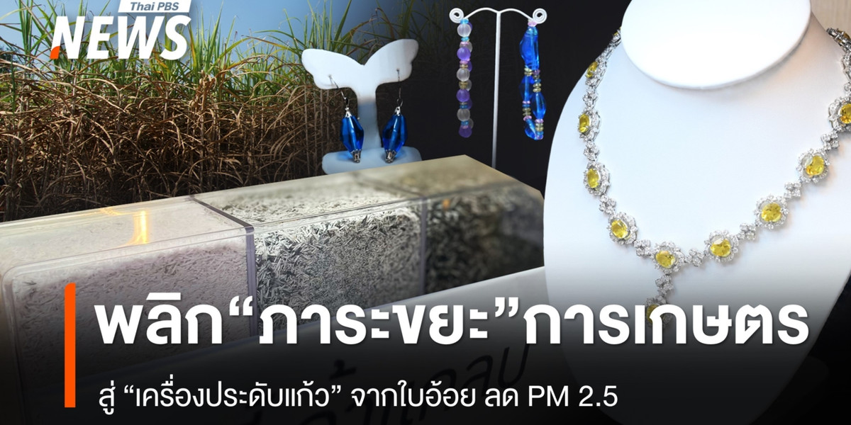 พลิก “ภาระขยะ” การเกษตร สู่ “เครื่องประดับแก้ว” จากใบอ้อย ลด PM 2.5-สร้างมูลค่าให้ชุมชน
