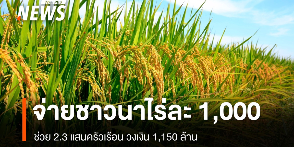 ครม.ไฟเขียวเพิ่ม 1,500 ล้าน จ่ายช่วยชาวนาไร่ละ 1,000 บาท สูงสุด 10,000 บาท