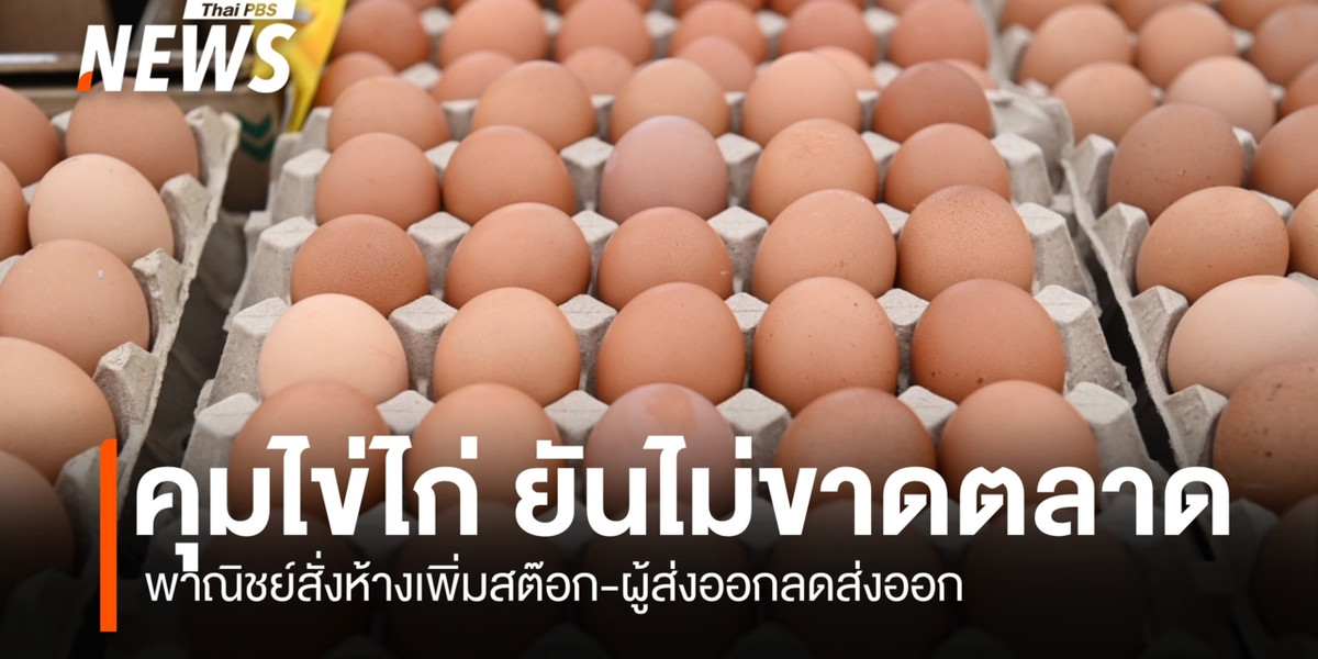 “ค้าภายใน” คุมไข่ไก่ ยันไม่ขาดตลาด สั่งห้างเพิ่มสต๊อก-ผู้ส่งออกลดส่งออก