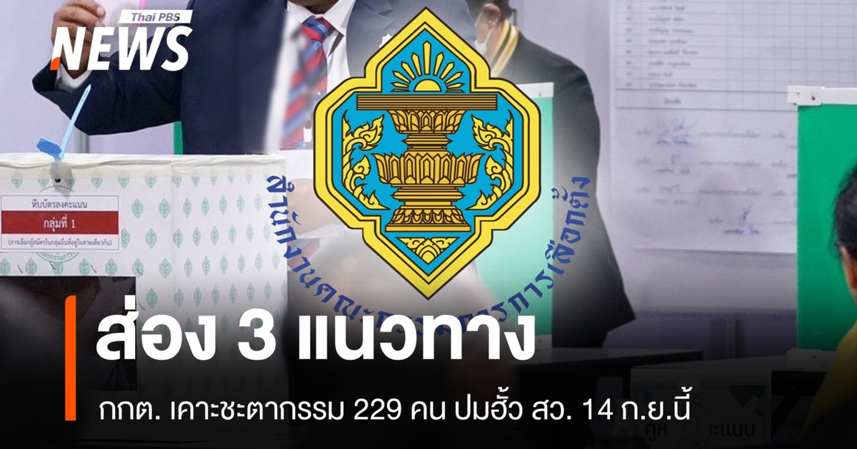 关于参议院勾结丑闻中 229 名涉案人员的命运，选举委员会将于 9 月 14 日做出决定，以下三种情况可能出现。