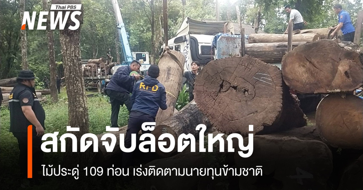 สกัดจับ “ไม้ประดู่” ล็อตใหญ่ 109 ท่อน เร่งติดตามนายทุนข้ามชาติ
