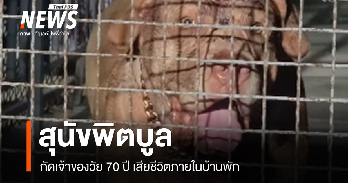 一只名叫“巨人”的比特犬袭击了它70岁的主人，致其死亡。