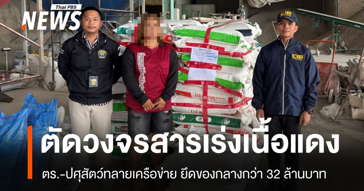 当局扩大对牛猪养殖场“肉质增味剂”的调查，查获价值 3200 万泰铢的违禁品。