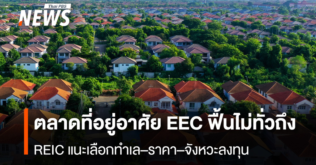 欧盟住房市场复苏不均衡；REIC建议投资者在投资时选择合适的地点、价格和时机。