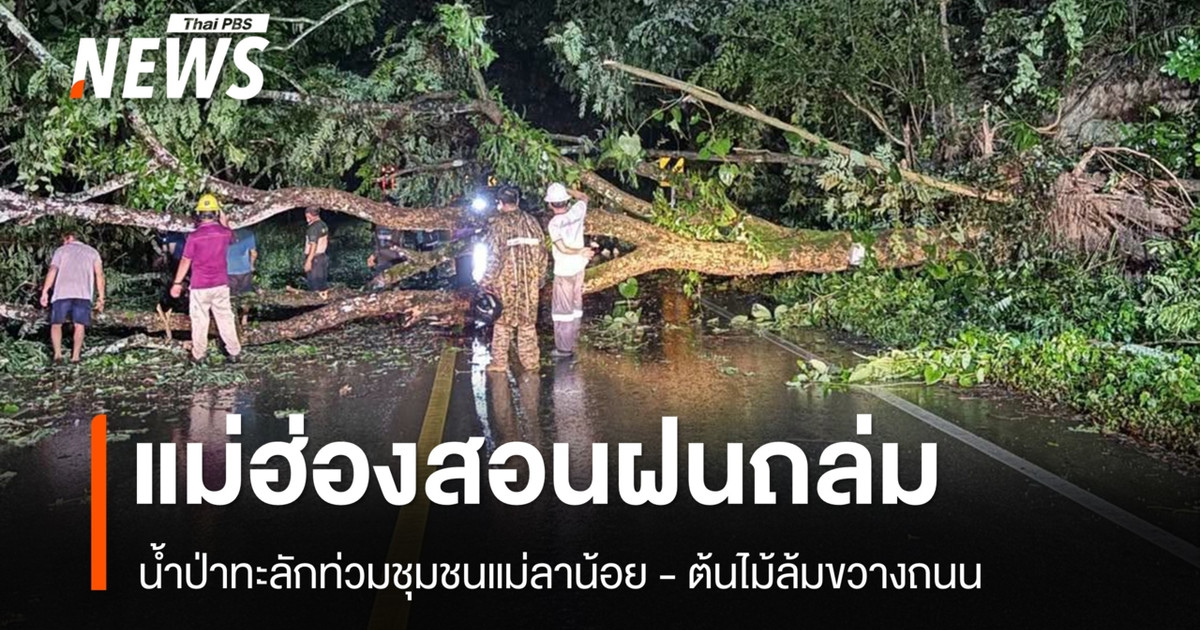 湄宏顺府湄兰诺伊社区遭遇突发洪水，导致树木倒塌并阻塞道路。