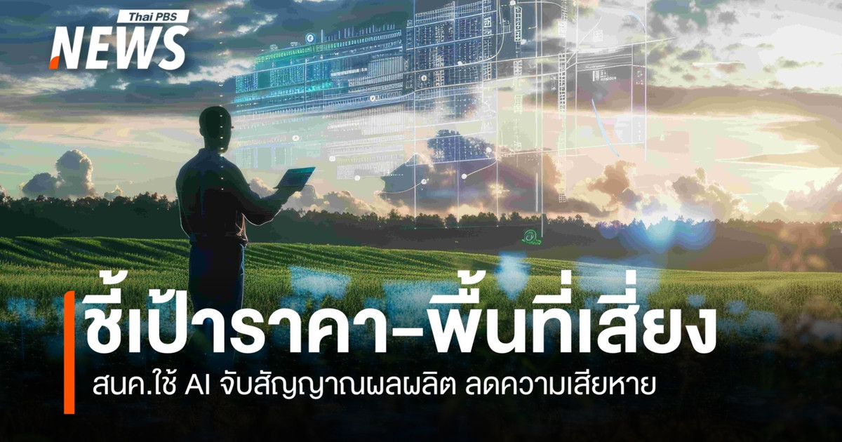 贸易政策与战略办公室 (TPSO) 正在利用人工智能来检测生产信号、确定目标价格和高风险地区，以减轻损失。