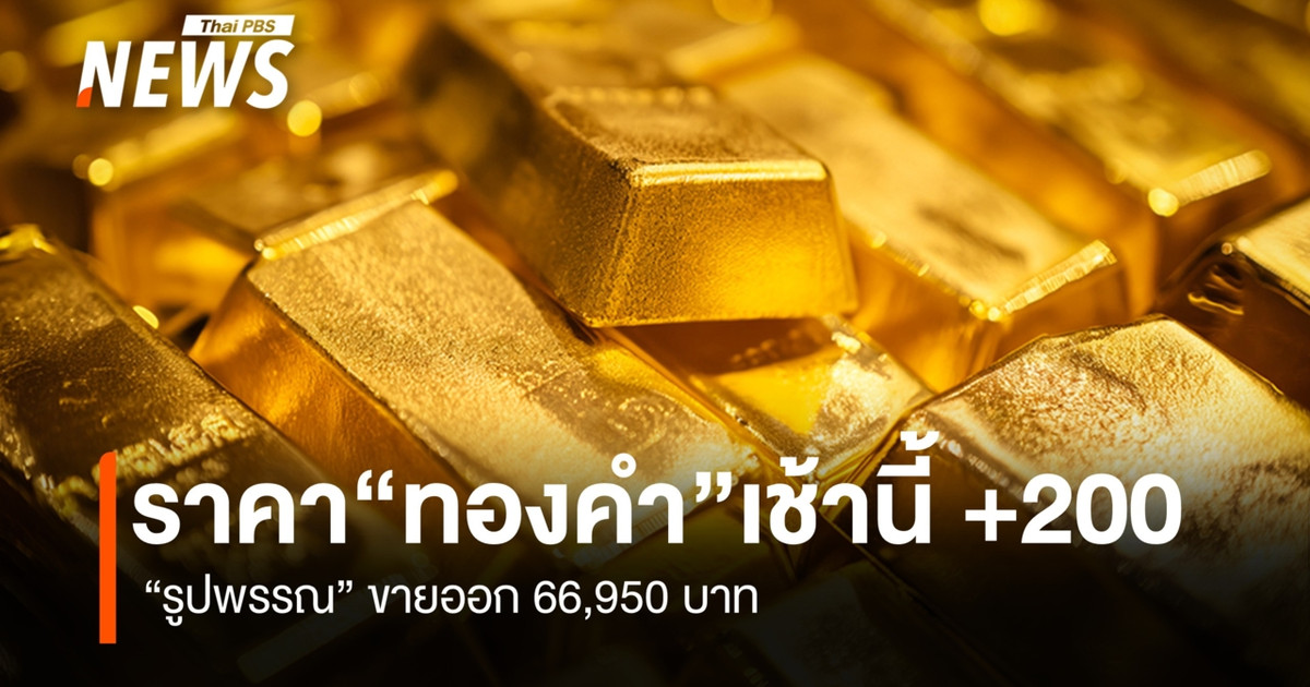 今天早上黄金价格上涨了200泰铢。装饰性黄金售价为66950泰铢。