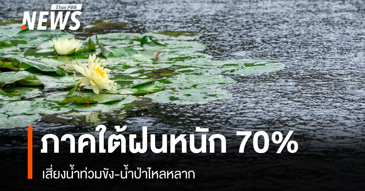 今日天气：南部地区有大雨（概率70%），有发生洪水和山洪的风险。