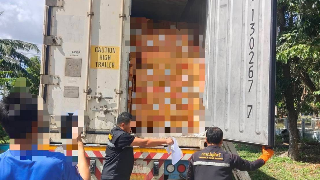 26 tonnes of illicit chicken seized in forged permit crackdown | Thai ...