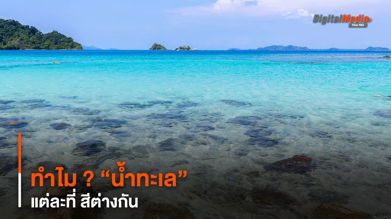 กางเหตุผล “น้ำทะเล” แต่ละที่ ทำไม ? สีต่างกัน