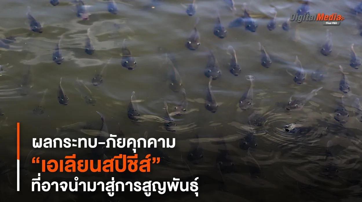 “เอเลียนสปีชีส์” ผลกระทบ-ภัยคุกคามที่อาจนำมาสู่การสูญพันธุ์