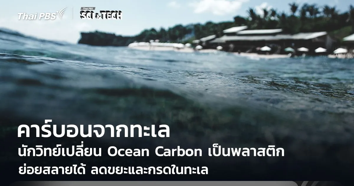 นักวิทย์เปลี่ยน Ocean Carbon เป็นพลาสติกย่อยสลายได้ ลดขยะและกรดในทะเล