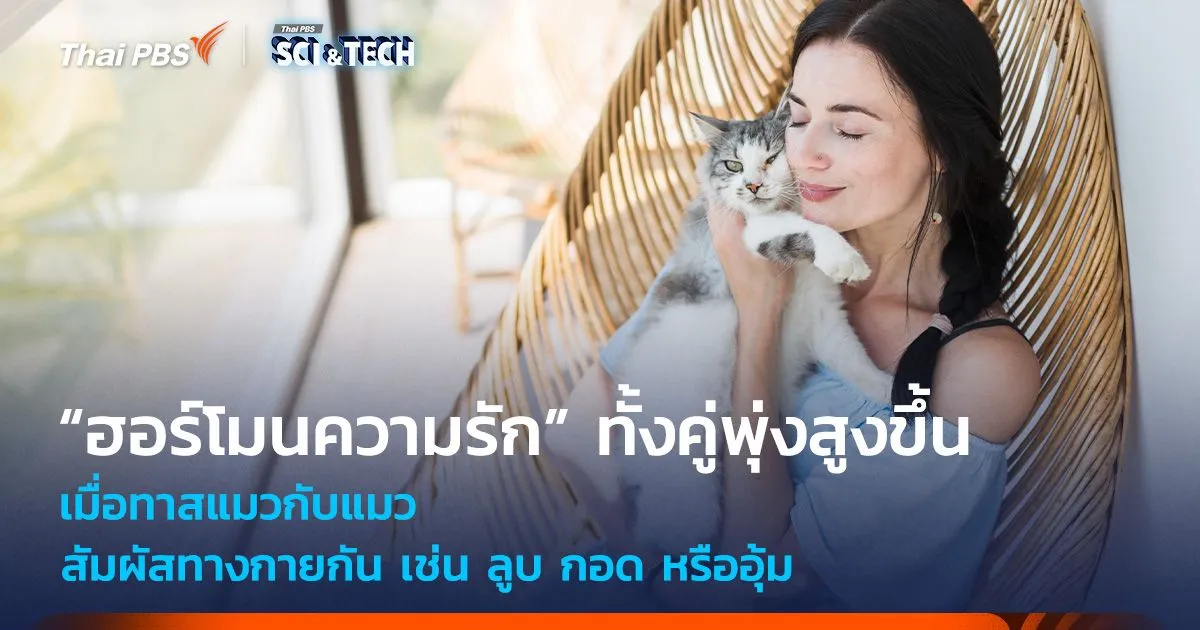 ลูบ กอด หรืออุ้มแมว! จะทำให้ “ฮอร์โมนความรัก” ทาสแมวและแมวพุ่งสูงขึ้น