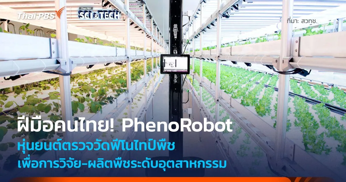 คนไทยพัฒนา! PhenoRobot หุ่นยนต์ตรวจวัดฟีโนไทป์พืช เพื่อผลิตพืชระดับอุตสาหกรรม