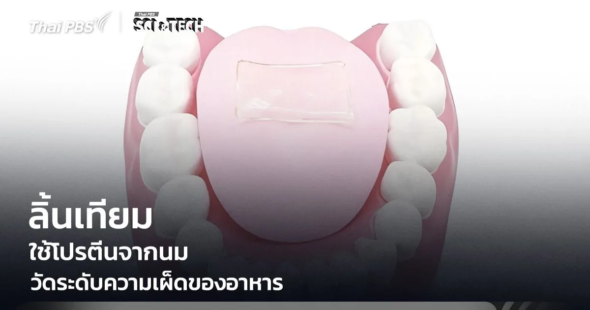 เผ็ดแค่ไหนรู้ได้ทันที! "ลิ้นเทียมจากโปรตีนนม" วัดระดับความเผ็ด ช่วยคุมรสชาติอาหาร