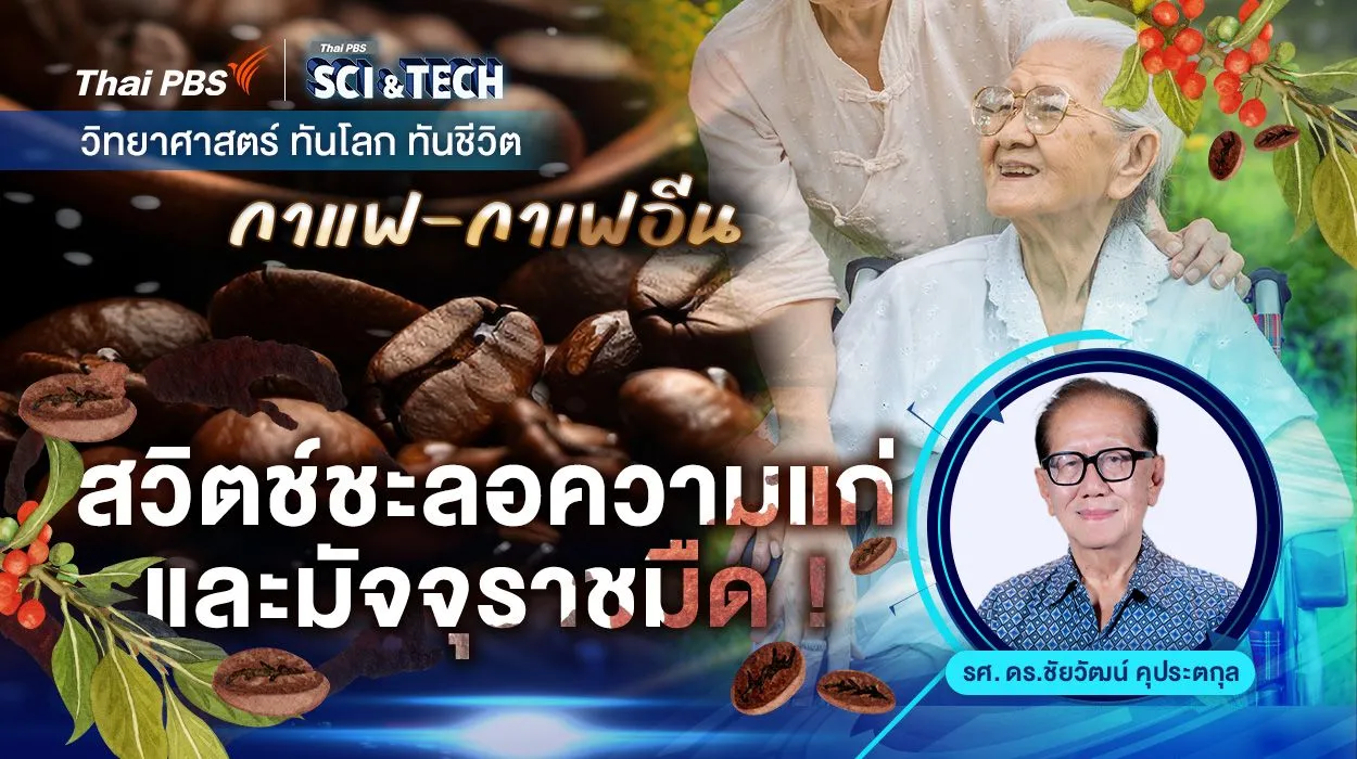 กาแฟ-กาเฟอีน-สวิตช์ชะลอความแก่และมัจจุราชมืด !