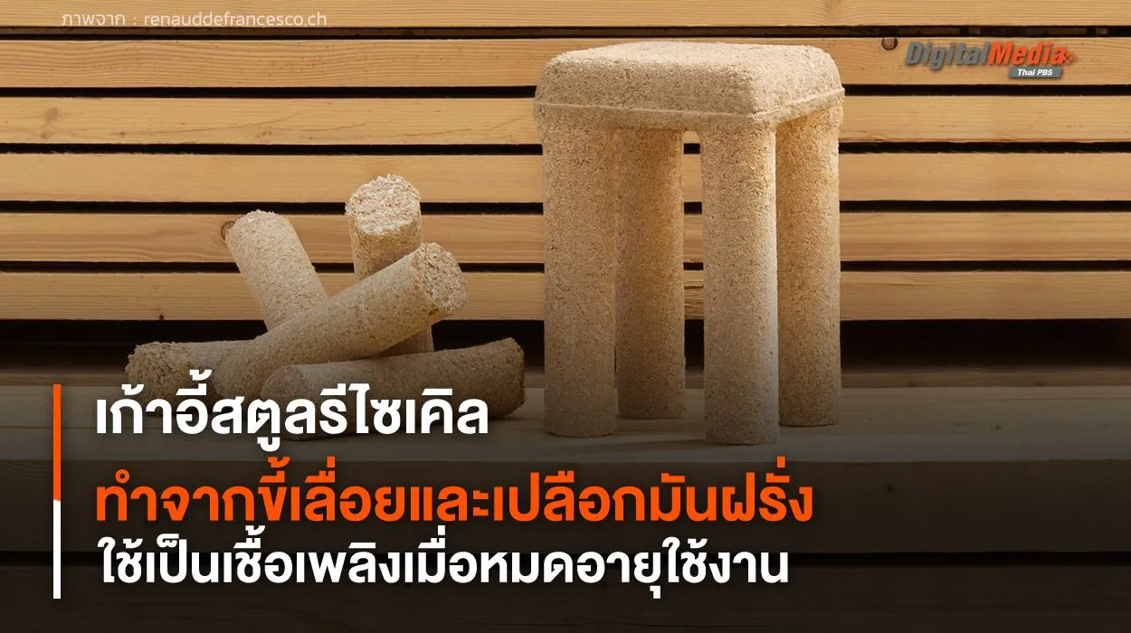 เก้าอี้สตูลรีไซเคิล ทำจากขี้เลื่อยและเปลือกมันฝรั่ง ใช้เป็นเชื้อเพลิงเมื่อหมดอายุใช้งาน