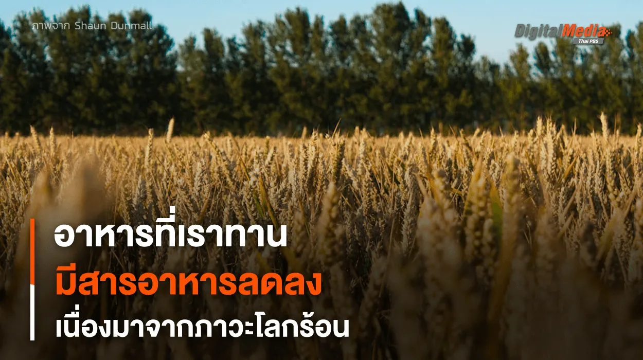 อาหารที่เราทานกำลังมี “สารอาหาร” น้อยลง อันเนื่องมาจาก “ภาวะโลกร้อน”