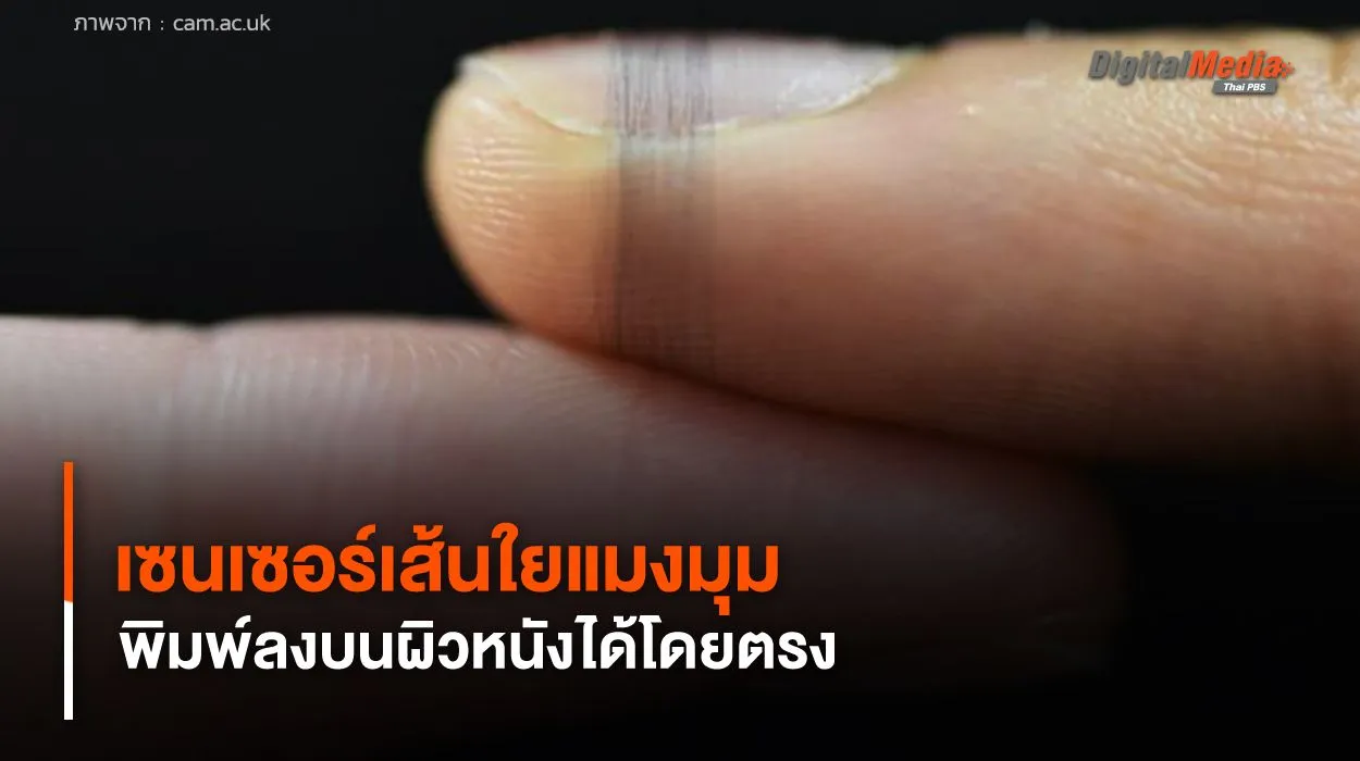 เซนเซอร์เส้นใยแมงมุม บางกว่าผมมนุษย์ 50 เท่า พิมพ์ลงบนผิวหนังได้โดยตรง