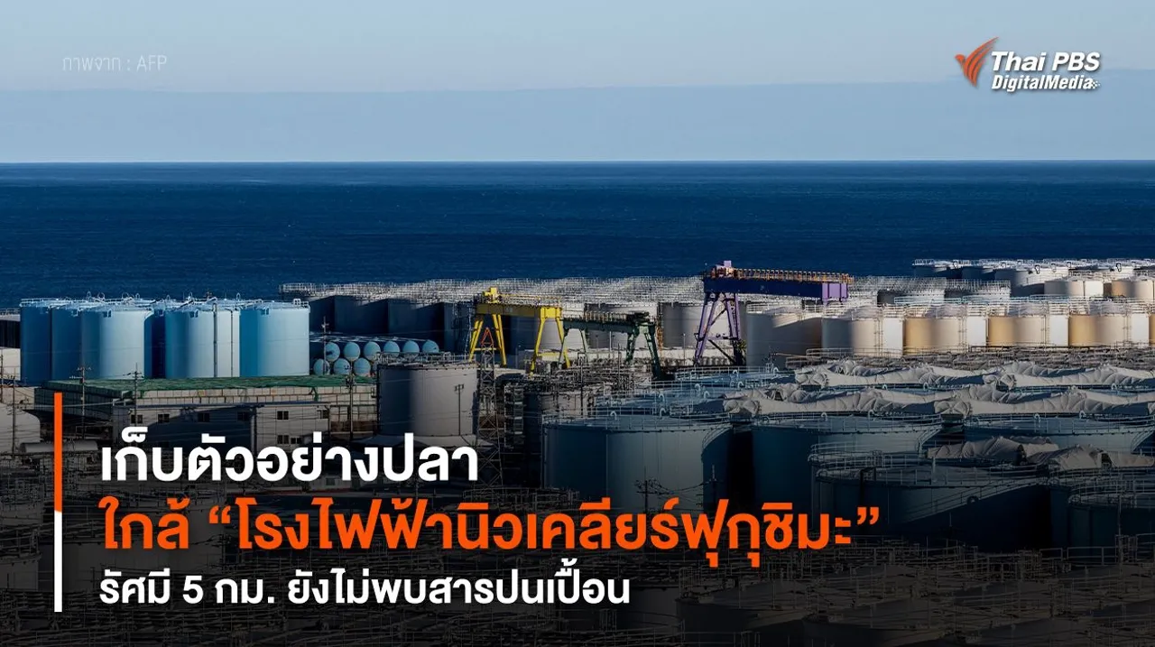 เก็บตัวอย่างปลา ใกล้ “โรงไฟฟ้านิวเคลียร์ฟุกุชิมะ” รัศมี 5 กม. ยังไม่พบสารปนเปื้อน
