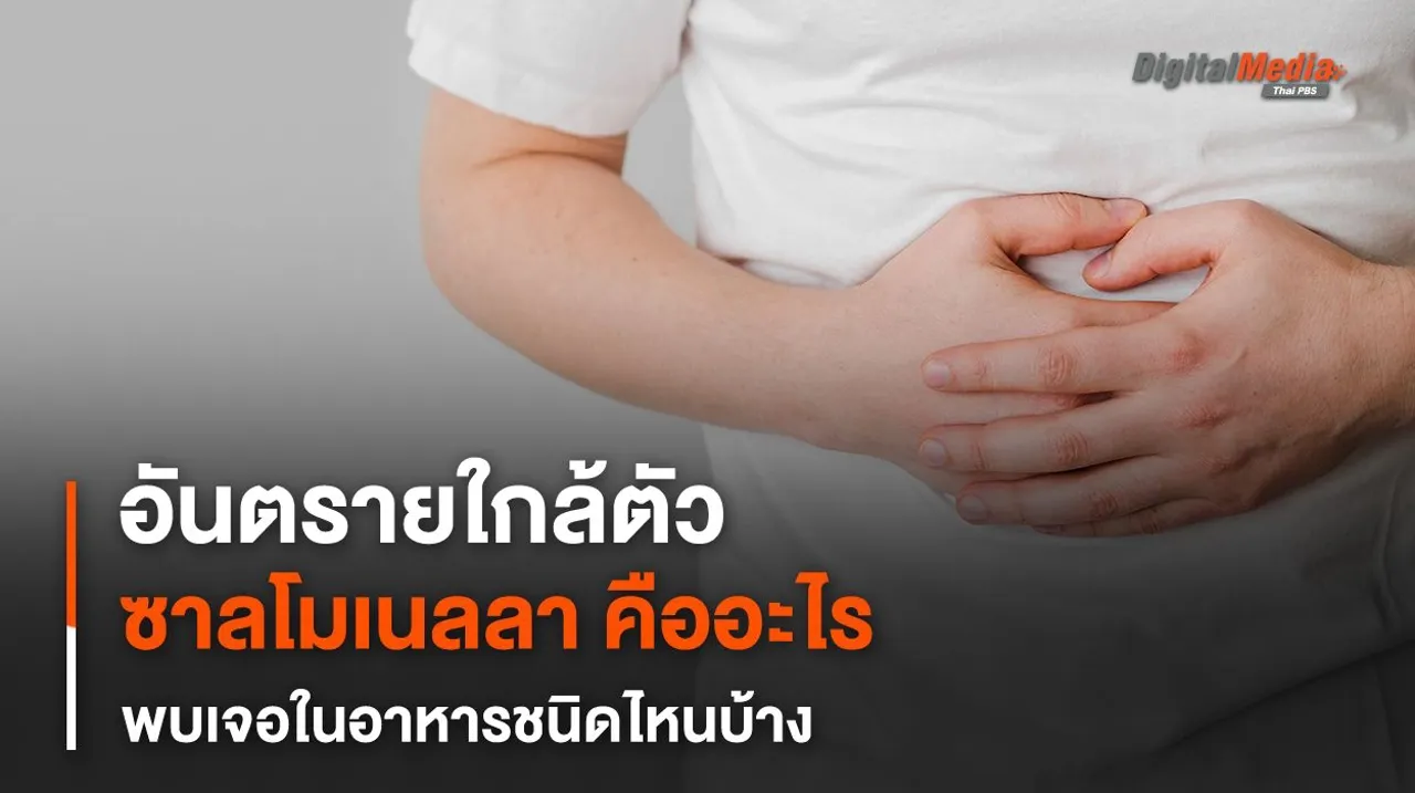 เตือนคนชอบกินไข่ดิบ สัตว์ปีก อาหารไม่สุก ระวังติดเชื้อซาลโมเนลลา