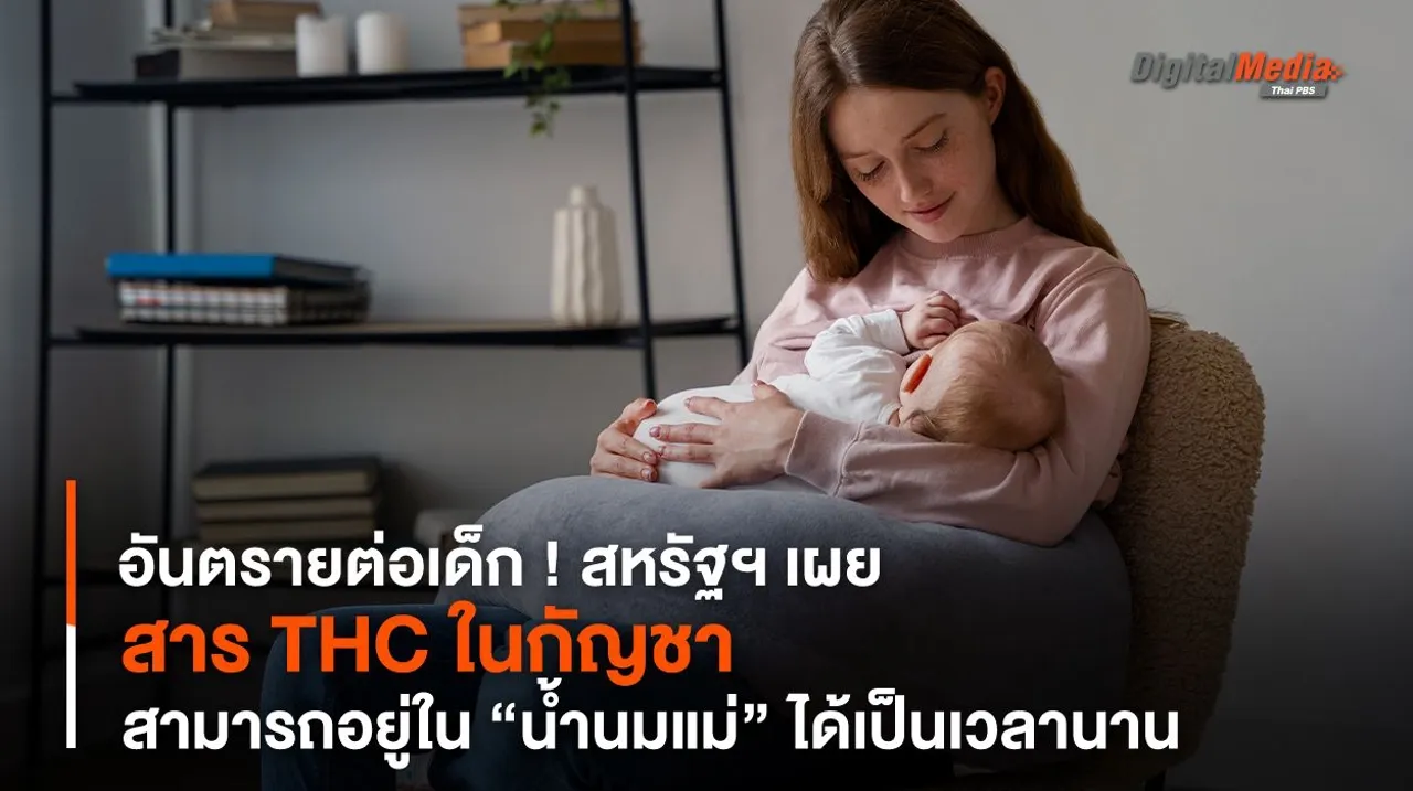 อันตรายต่อเด็ก ! สหรัฐฯ เผยสาร THC ในกัญชาสามารถอยู่ใน “น้ำนมแม่” ได้เป็นเวลานาน