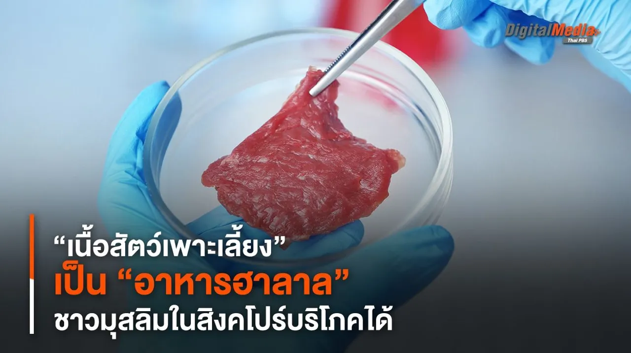 “เนื้อสัตว์เพาะเลี้ยง” เป็น “อาหารฮาลาล” ชาวมุสลิมในสิงคโปร์บริโภคได้