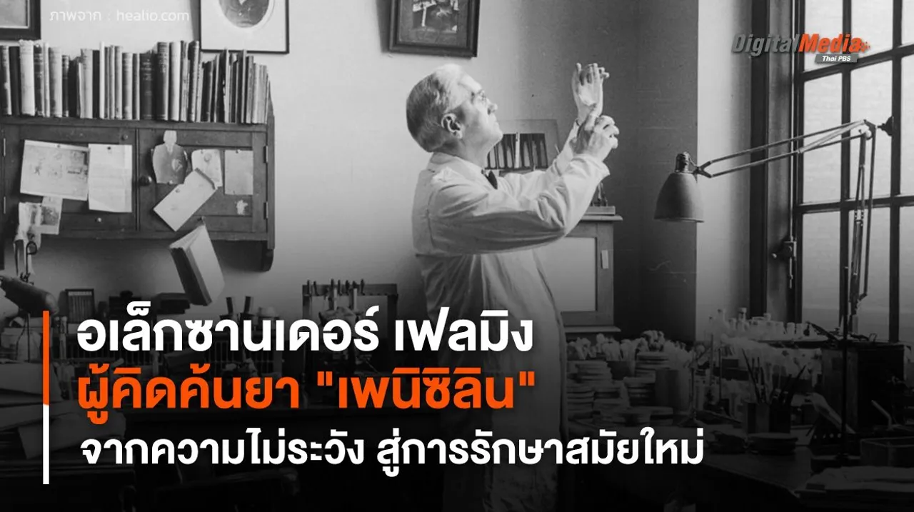 อเล็กซานเดอร์ เฟลมิง ผู้คิดค้นยา "เพนิซิลิน" จากความไม่ระมัดระวัง สู่แนวทางการรักษาสมัยใหม่