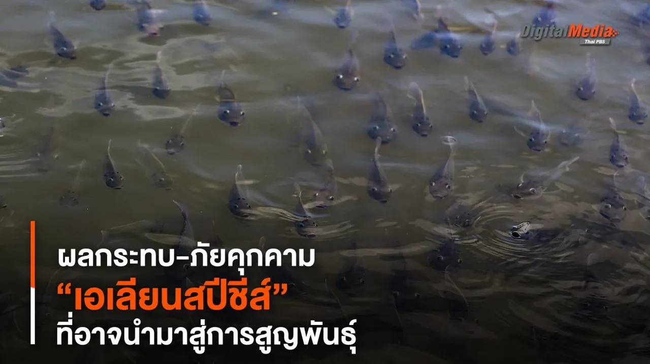 “เอเลียนสปีชีส์” ผลกระทบ-ภัยคุกคามที่อาจนำมาสู่การสูญพันธุ์