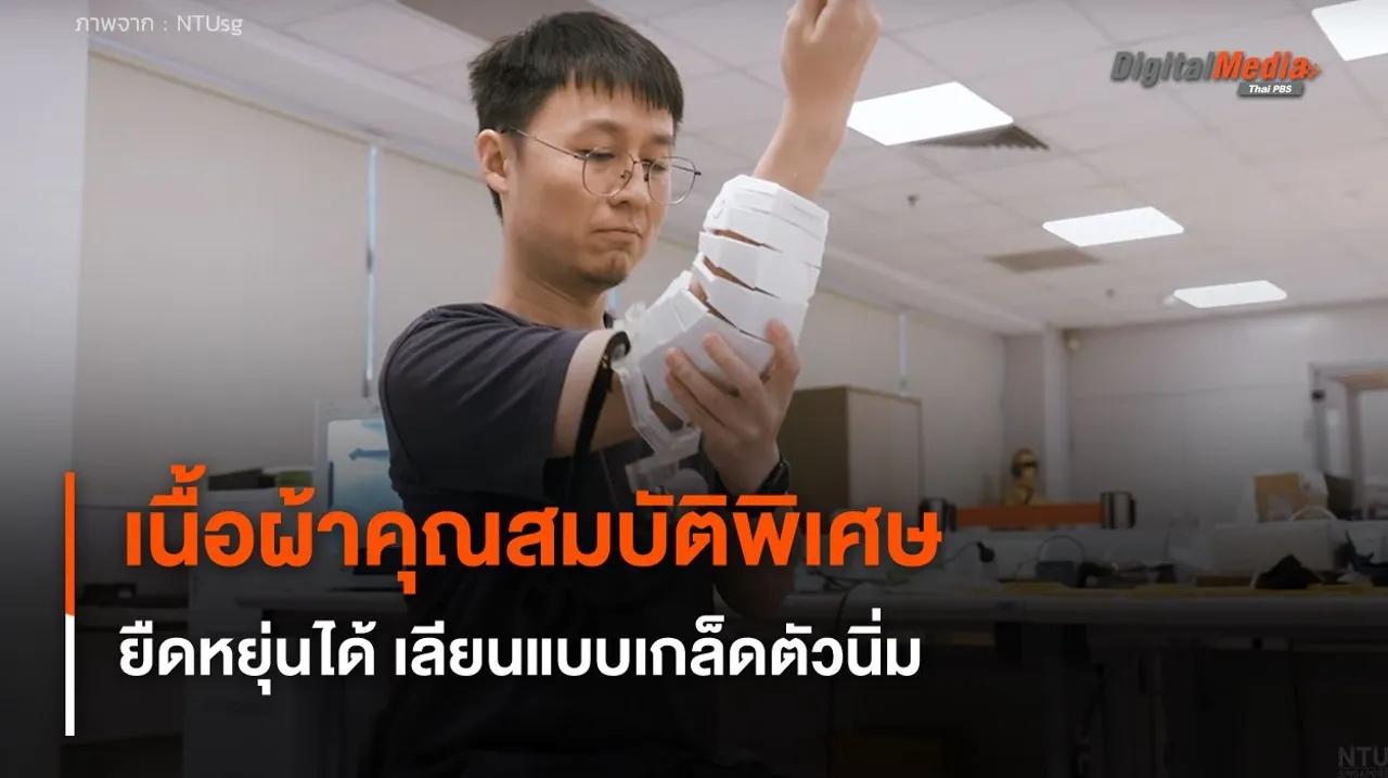 เนื้อผ้าคุณสมบัติพิเศษ ยืดหยุ่นตามต้องการ เลียนแบบเกล็ดตัวนิ่ม