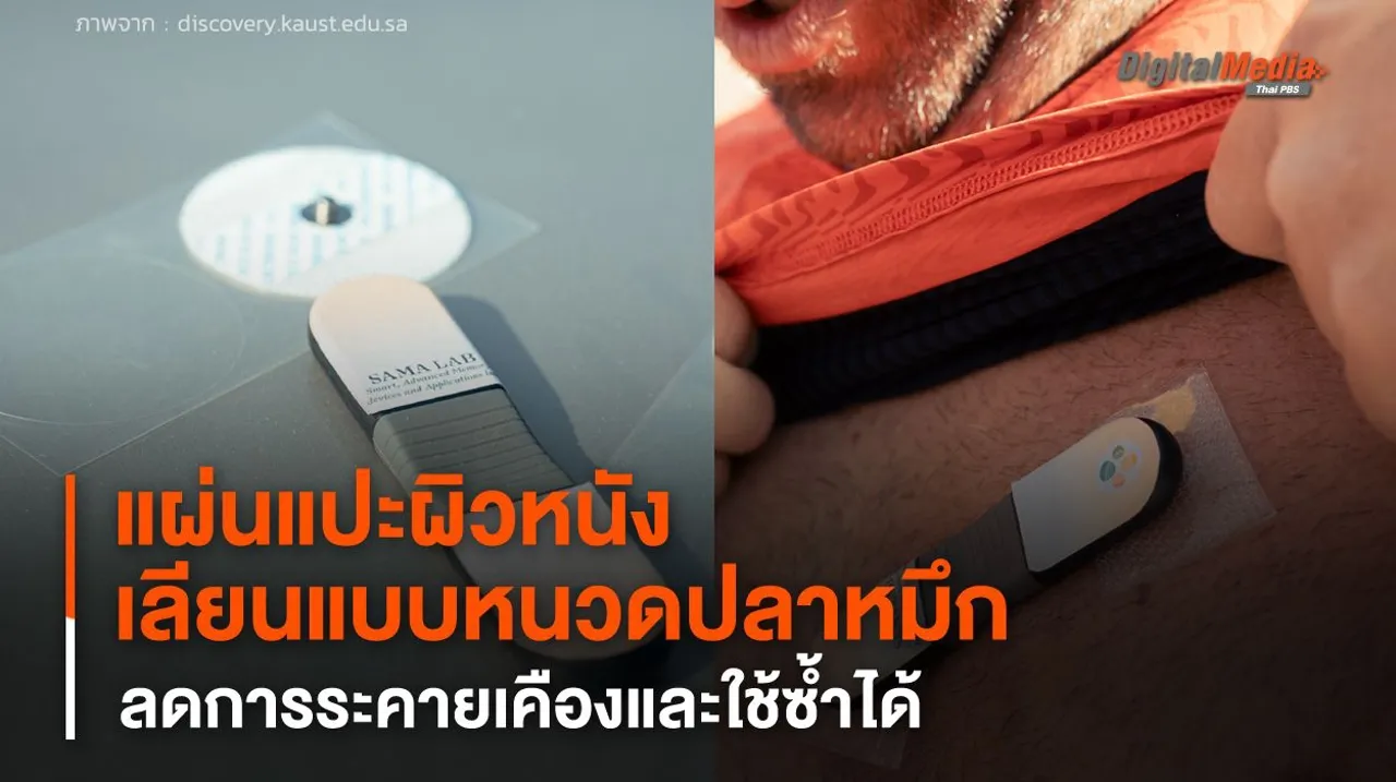 แผ่นแปะผิวเลียนแบบหนวดปลาหมึก ลดการระคายเคืองและใช้ซ้ำได้