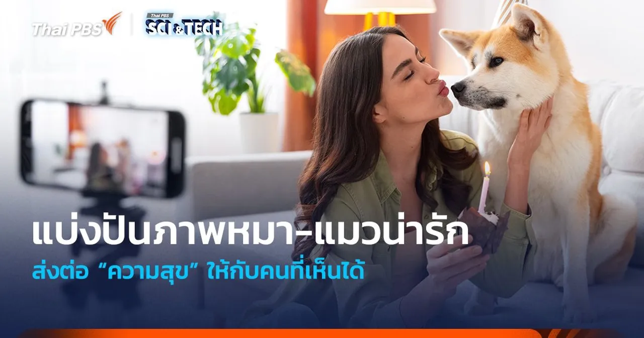 การแบ่งปันภาพหมา-แมวน่ารัก ส่งต่อ “ความสุข” ให้กับคนที่เห็นได้