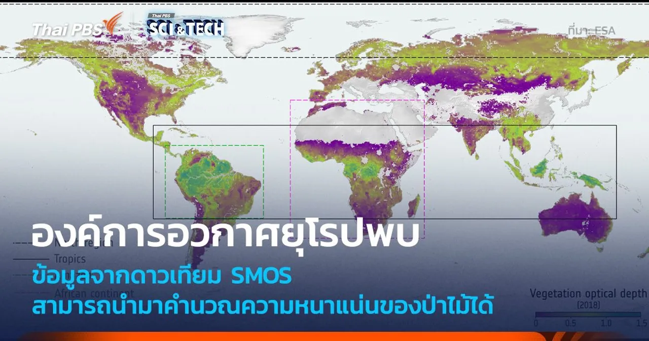 ข้อมูลดาวเทียม SMOS ของ ESA นำมาใช้ติดตามการดูดซับคาร์บอนของป่าไม้ได้