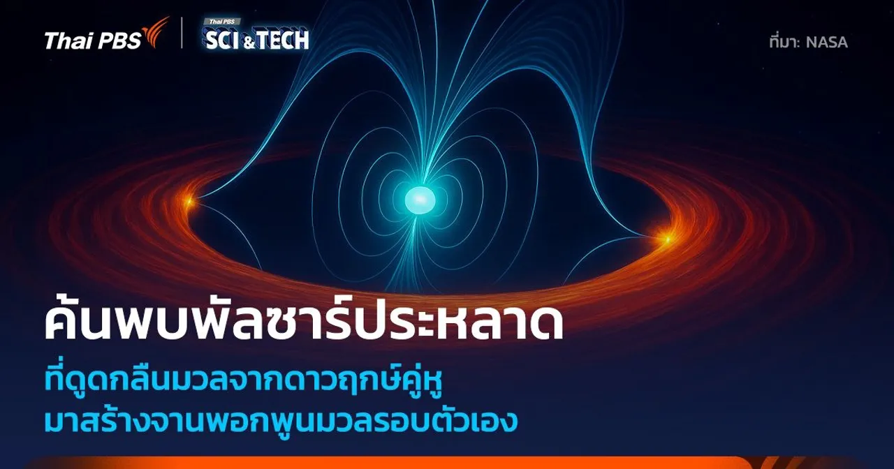 IXPE พบพัลซาร์คู่แปลกประหลาดที่ดูดกลืนมวลจากดาวฤกษ์คู่หู