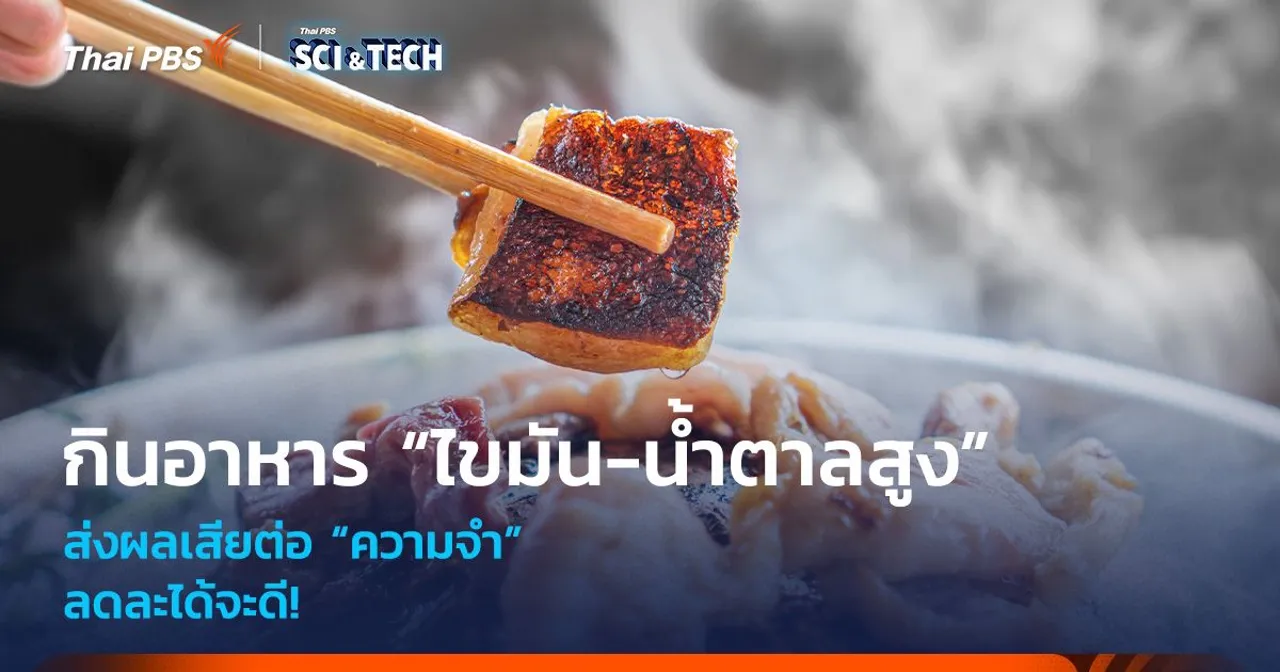 ลดละได้จะดี! กินอาหาร “ไขมัน-น้ำตาลสูง” ส่งผลเสียต่อ “ความจำ”