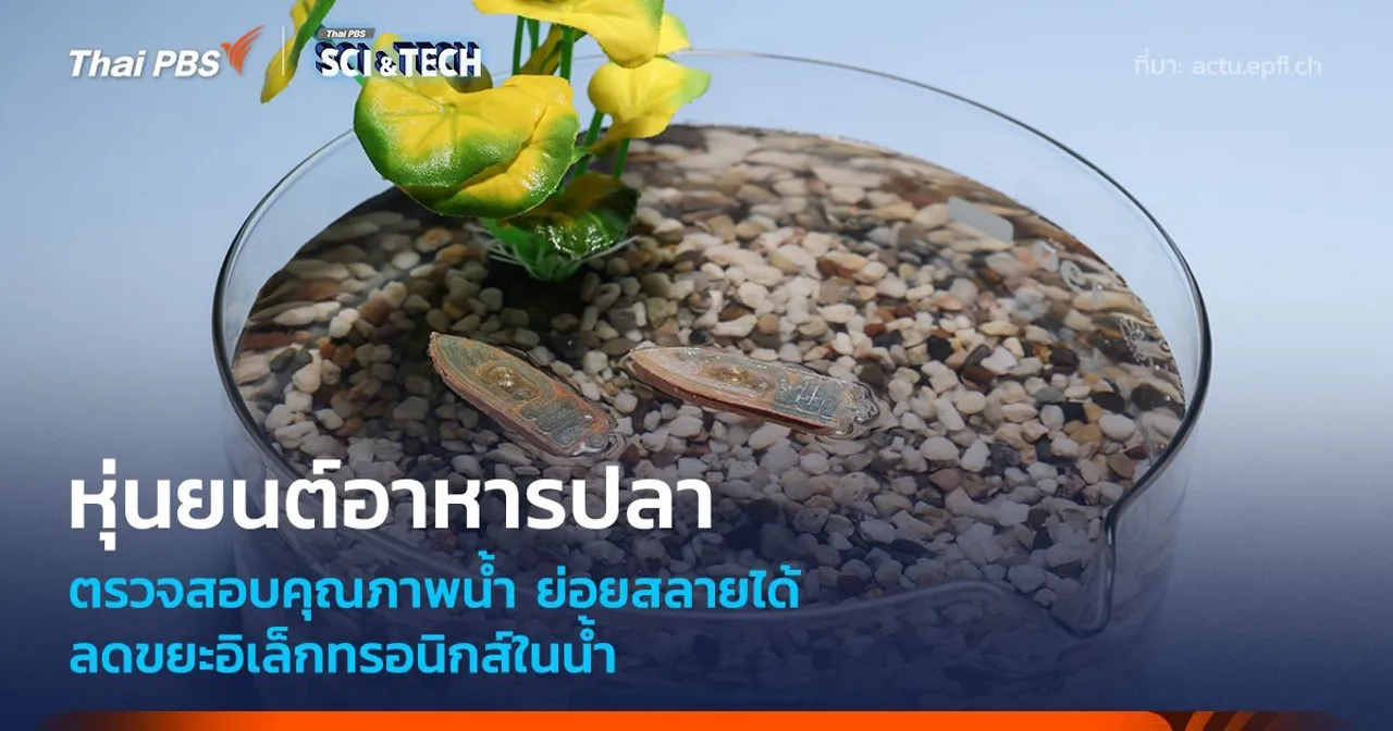 หุ่นยนต์ตรวจคุณภาพน้ำ ย่อยสลายเป็นอาหารปลา ลดขยะอิเล็กทรอนิกส์ในน้ำ