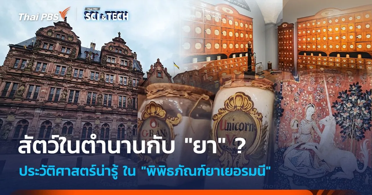 สัตว์ในตำนานกับ "ยา" ? ประวัติศาสตร์น่ารู้ใน "พิพิธภัณฑ์ยาเยอรมนี"