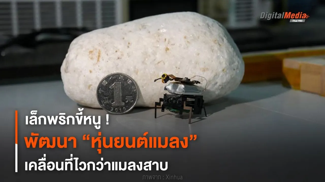 เล็กพริกขี้หนู ! พัฒนา “หุ่นยนต์แมลง” เคลื่อนที่ไวกว่าแมลงสาบ