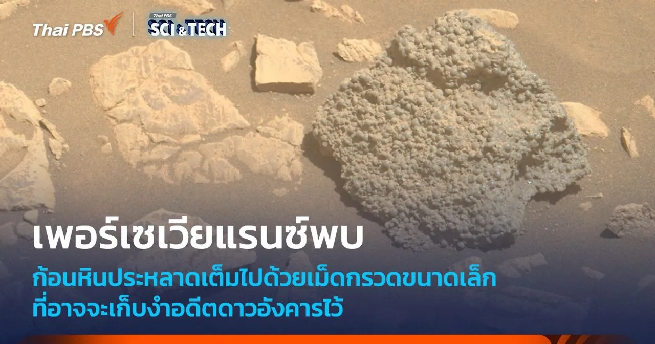 Perseverance พบหินดาวอังคารรูปทรงตะปุ่มตะป่ำ