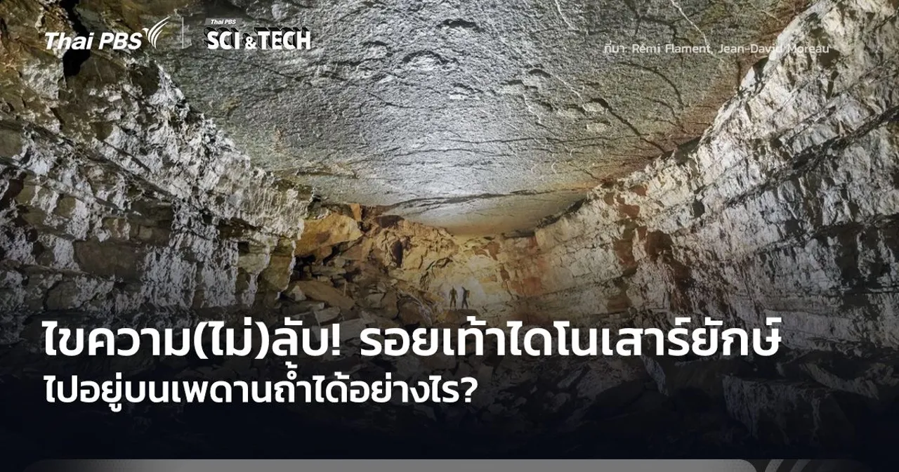 ไขความ(ไม่)ลับ! รอยเท้าไดโนเสาร์ยักษ์ ไปอยู่บนเพดานถ้ำได้อย่างไร?