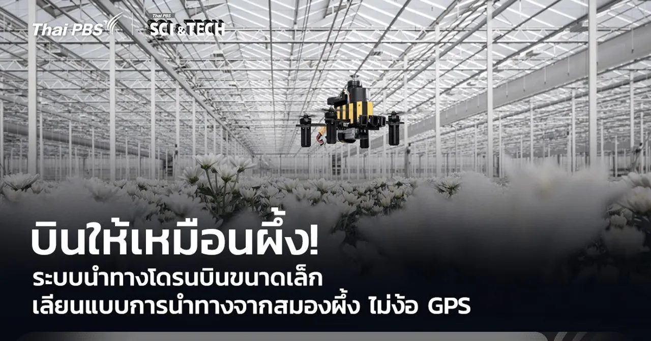 บินให้เหมือนผึ้ง! ระบบนำทางโดรนบินขนาดเล็ก เลียนแบบการนำทางจากสมองผึ้ง ไม่ง้อ GPS