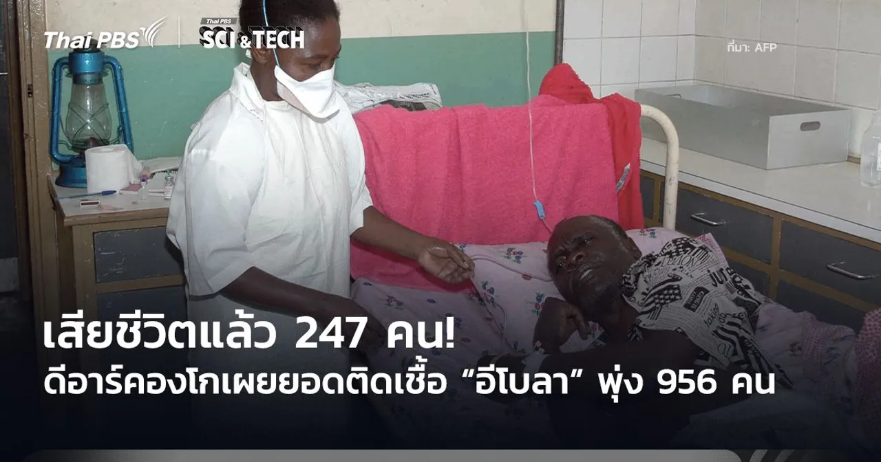 เสียชีวิตแล้ว 247 คน! ดีอาร์คองโกเผยยอดติดเชื้อ “อีโบลา” พุ่ง 956 คน