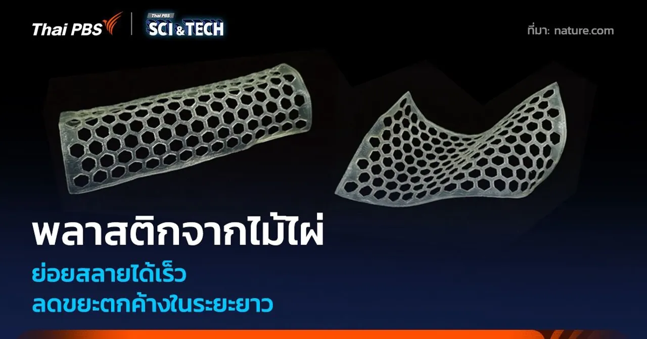 พลาสติกชีวภาพจากไม้ไผ่ ย่อยสลายได้เร็ว ลดขยะตกค้างในระยะยาว