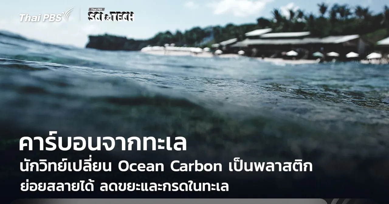นักวิทย์เปลี่ยน Ocean Carbon เป็นพลาสติกย่อยสลายได้ ลดขยะและกรดในทะเล